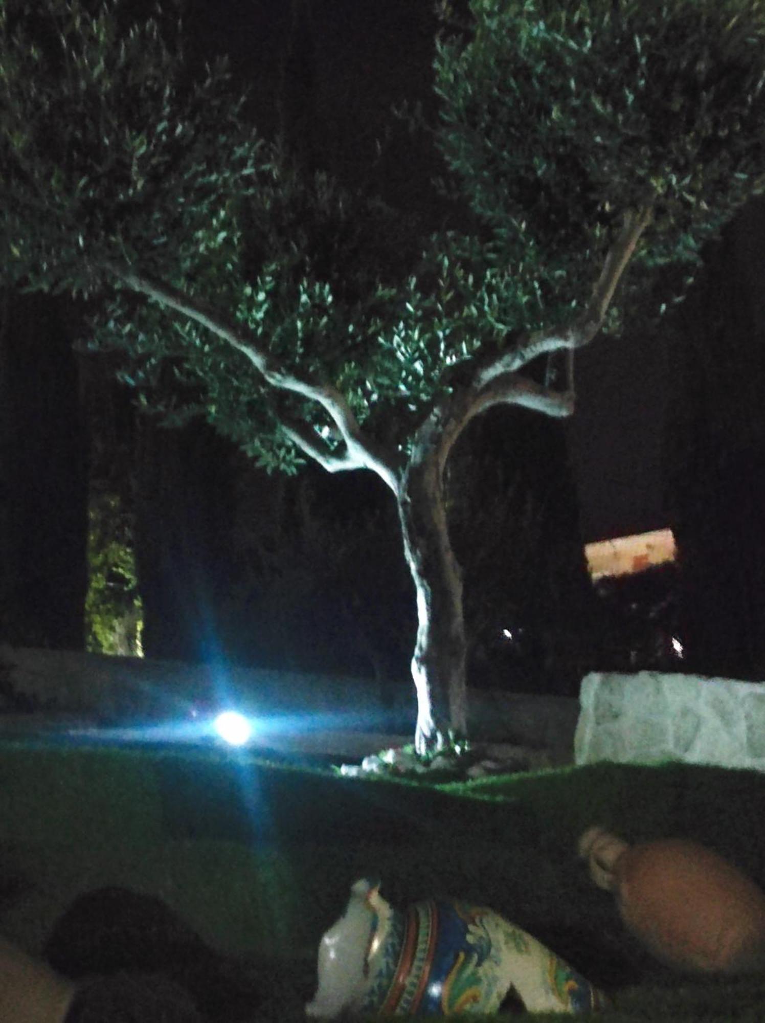 Villa Lory Agrigento Eksteriør billede